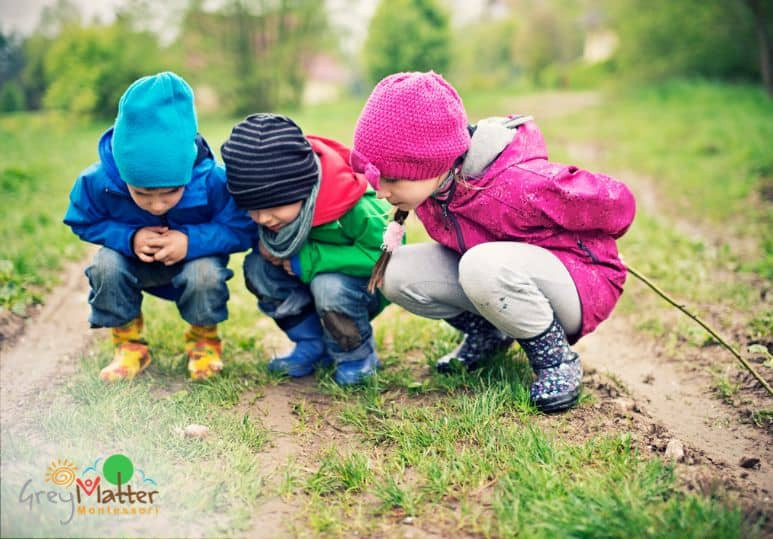 Nurturing Curiosity: Montessori Sensorial Activities for Preschoolers